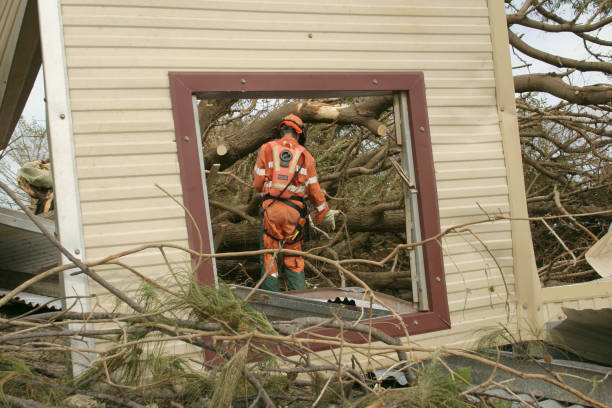 Best Tree Removal  in Altoona, PA